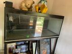 5x2 Fish Tank