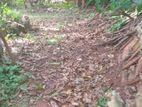 6 / 12.7 Perch Bare Land for Sale in Thalawathugoda CVVV-A1