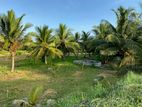 6 Acre Coconut Estate with Bungalow in Nikaweratiya (SL 14365)