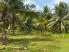 6 Acre Cultivated Land for Lease in Padukka