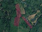 6-Acre River-Facing Agricultural Land for Sale – Clear Deeds