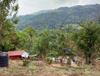 6 Acre Scenic Agricultural Land for Sale Thalathuoya, Kandy