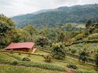 6 Acre Scenic Agricultural Land for Sale – Thalathuoya, Kandy