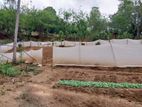 6 Acre Scenic Agricultural Land for Sale – Thalathuoya, Kandy