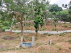 6 Acre Scenic Agricultural Land for Sale – Thalathuoya, Kandy