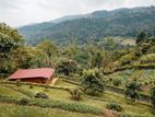6 Acre Scenic Agricultural Land for Sale – Thalathuoya, Kandy