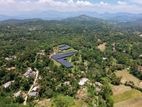 6 Acre Scenic Land for Sale in Thalathuoya, Kandy