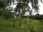 6 Acres Coconut Land for Sale Karandeniya