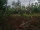 6 Acres For Rent In Kurunegala