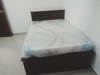 6 by 5 Box Bed with Arpico Spring Mattress (E-14)