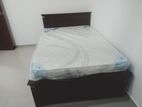 6 by 5 (Queen Size) Box Bed with Spring Mattress (E-14)