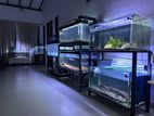 6 Fish Tanks