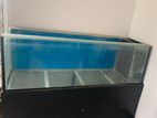 6ft Fish Tank