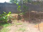 6 Perch Land for Sale at Rajagiriya Moragusmulla