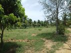 6 perch Land For Sale in Mount Lavinia