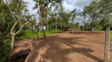 6 Perch Land in Gated Community - Athurugiriya.