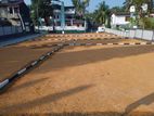 6 Perch Land Plots Sale Maviththara, Piliyandala M20