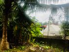 6 Perch Prime Bare Land for Sale Panadura