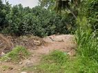 6 Perch Valuable Flat Land for Sale Galle
