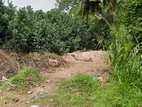 6 Perch Valuable Flat Land for Sale Galle