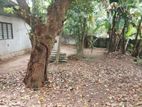6 Perches Land For Sale in Papiliyana