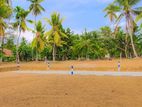 🏡 6 Perches Land for Sale in Udupila Village (IWB003L)