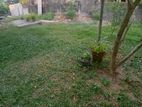 6 Perches Land Sale in Kandana