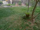 6 Perches Land Sale in Kandana