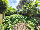 6 Perches Residential Bare Land For Sale In Thalawathugoda