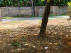6 Perches Residential Land for Sale in Peradeniya