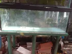 6' x Glass Fish Tank