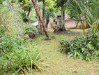 60 P Land for Sale – Bemmulla, Gampaha