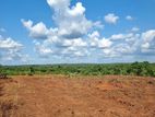 60 Perch Land for Sale in Kalubowila AAAA-A2