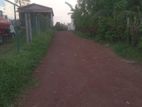 60 Perches Bare Land for Sale in Kottawa