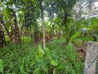 60 PERCHES BEST LAND FOR SALE RAGAMA