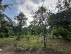 60 Perches Prime Land for Sale in Piliyandala ( Property Id - L2603)