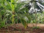 60.7 Perches Land for Sale in Kubuka