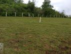 60P Bare Land for Sale in Handapangoda Road, Horana (SL 14549)