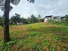 60P Bare Land For Sale In Malabe
