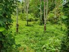 60p Land for Sale in Meegoda