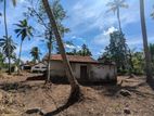 60P Valuable Land with Old House - Near Kuliyapitiya Town (Galahitiyawa)