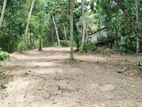 60p Valuable Residential Land for Sale Adiambalama