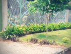 6.1 Perch Land for Sale at Homagama