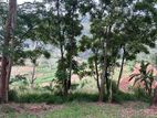 61 Perches Land for Sale in Bandarawela