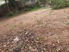 61 Perches Land for sale in Colombo 05