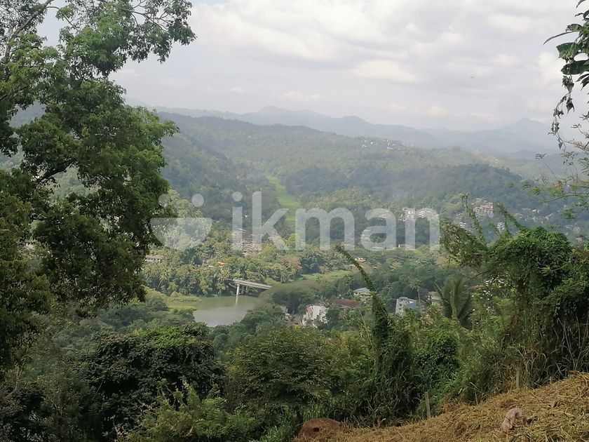 61.9P Land for Sale in Primrose Hill, Kandy with Mountain Views | ikman