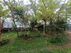 6.1P Residential Land For Sale In Pannipitiya Rathmaldeniya