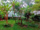 6.1P Residential Land For Sale In Pannipitiya Rathmaldeniya