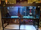 6*2*2 Fish Tank with Accessories