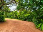62.2 Perch Prime Land With a 2-Story House For Sale In Dehiwala